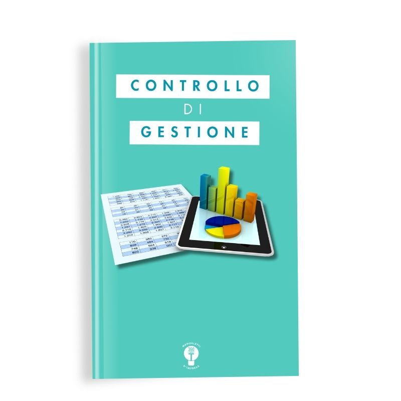 controllo di gestione